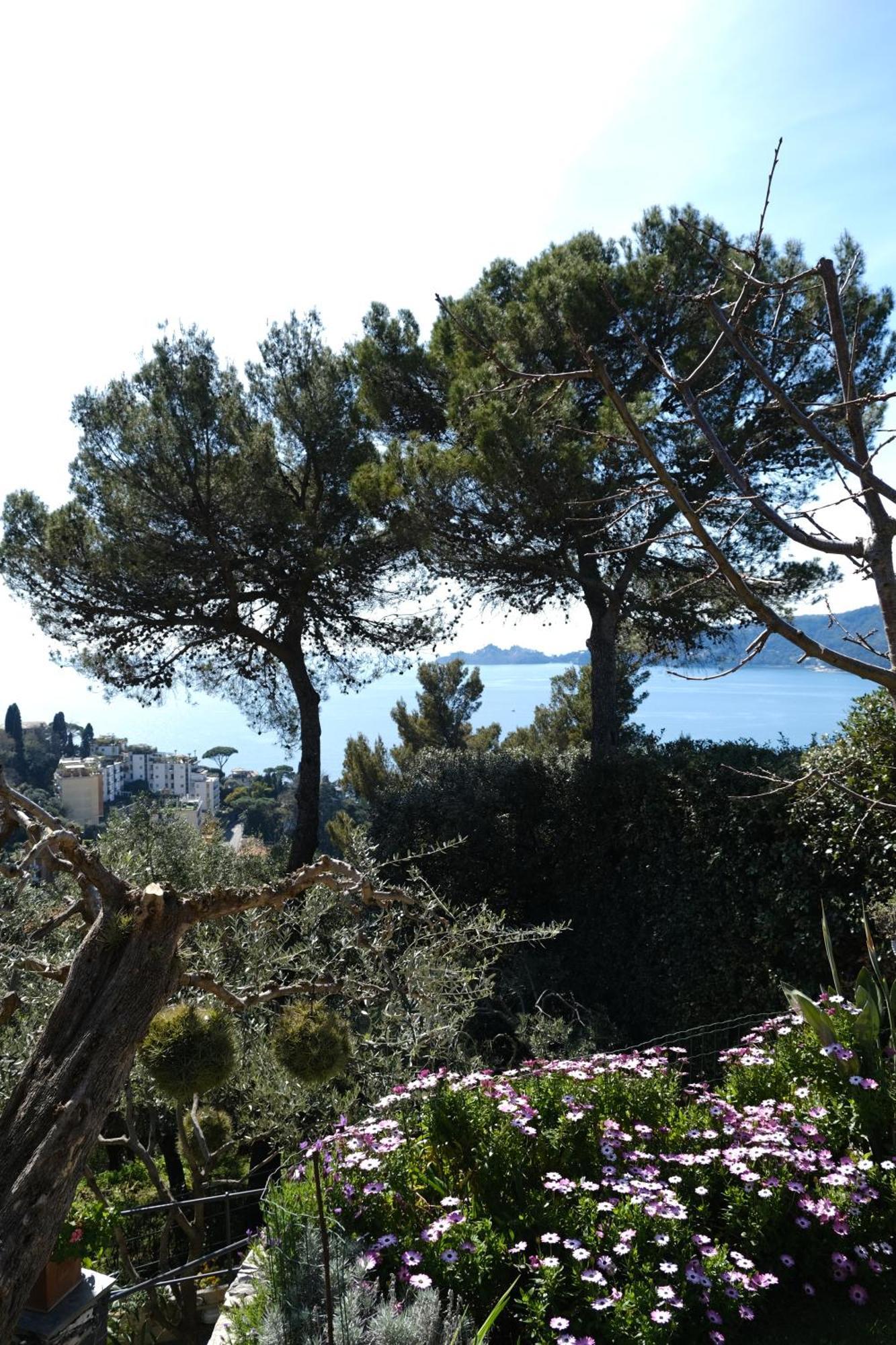 L'Alcova Tra Gli Ulivi By Portofinovacanze Zoagli Exteriér fotografie
