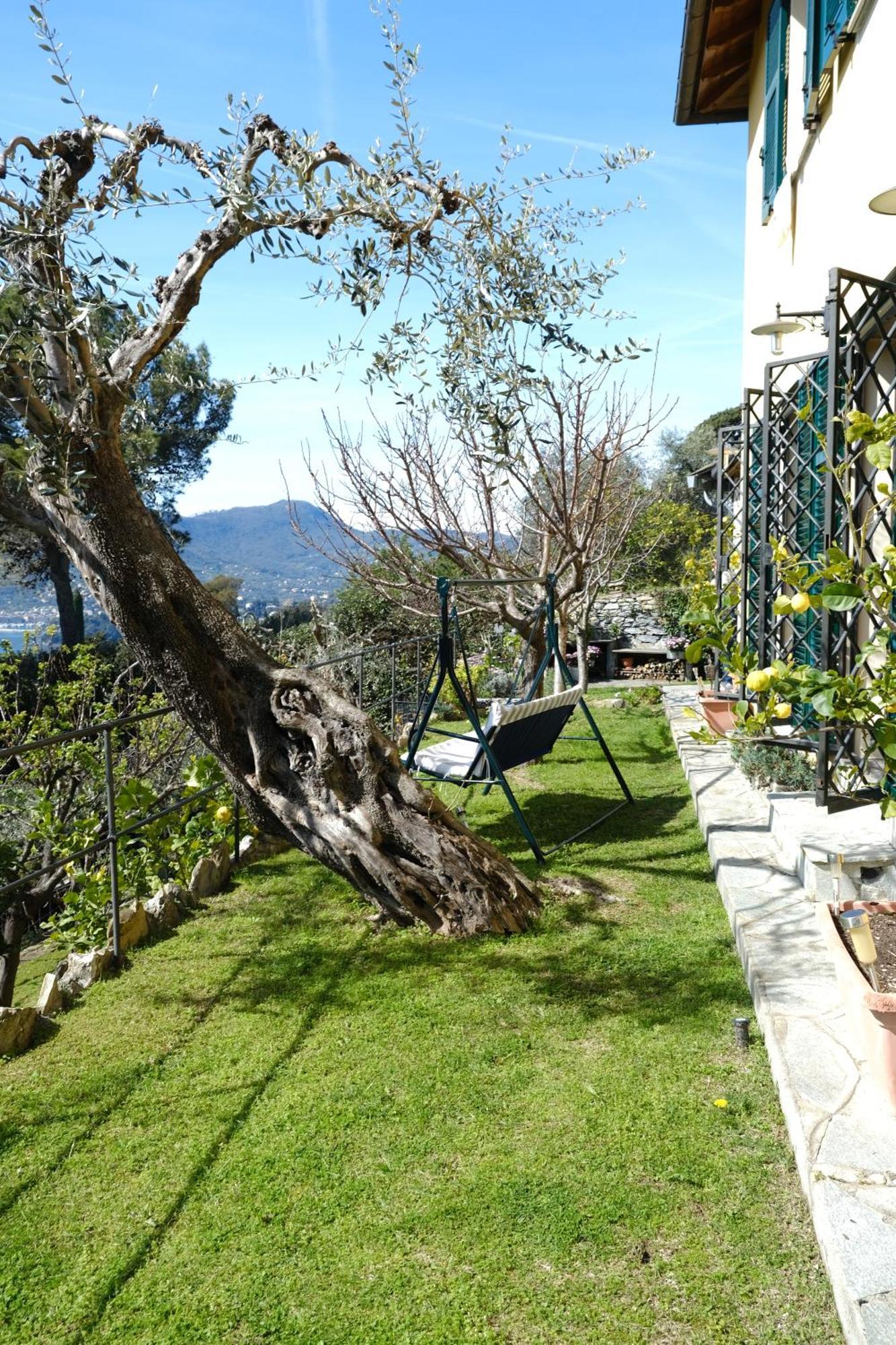 L'Alcova Tra Gli Ulivi By Portofinovacanze Zoagli Exteriér fotografie